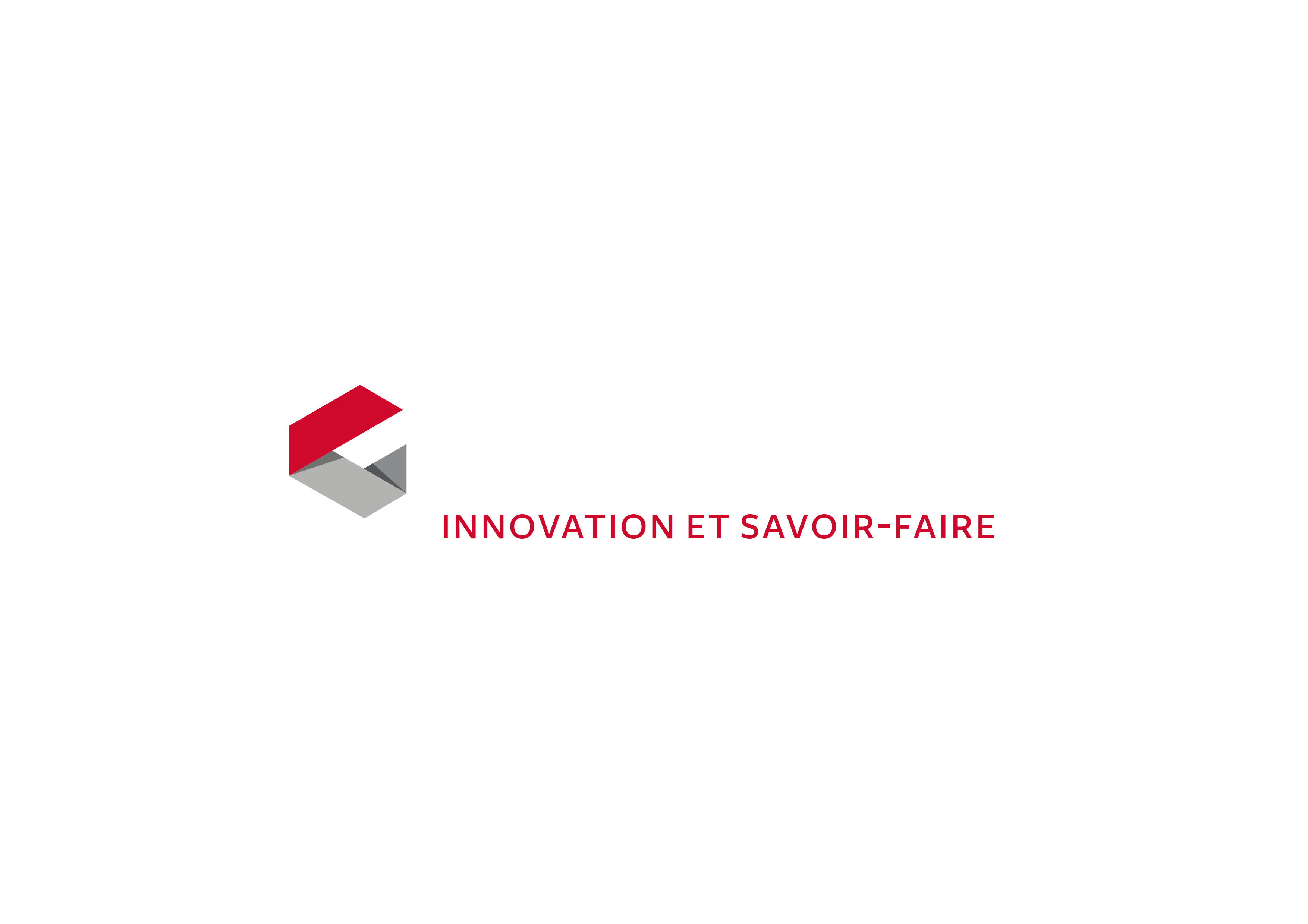 geodesis_logo