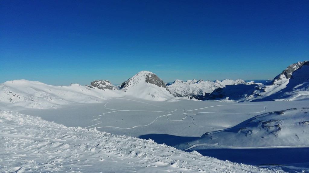 Papillon sur le glacier de la plaine morte